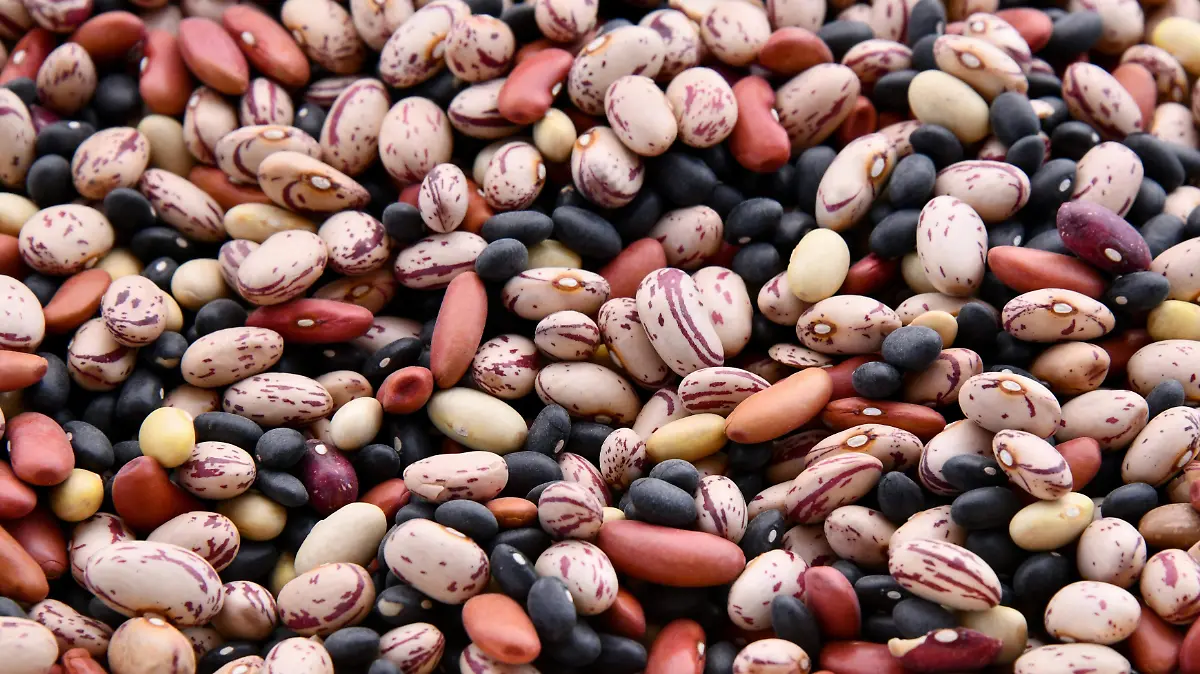 Gobierno de Nayarit destina más de 11 mdp para compra de frijol a productores locales